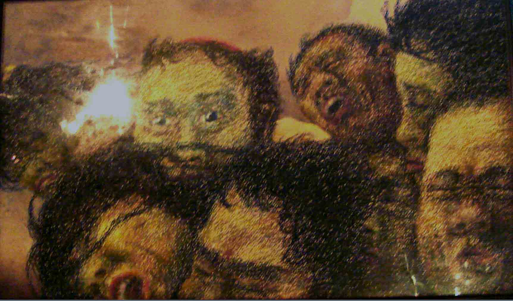 eccedomudei2.jpg